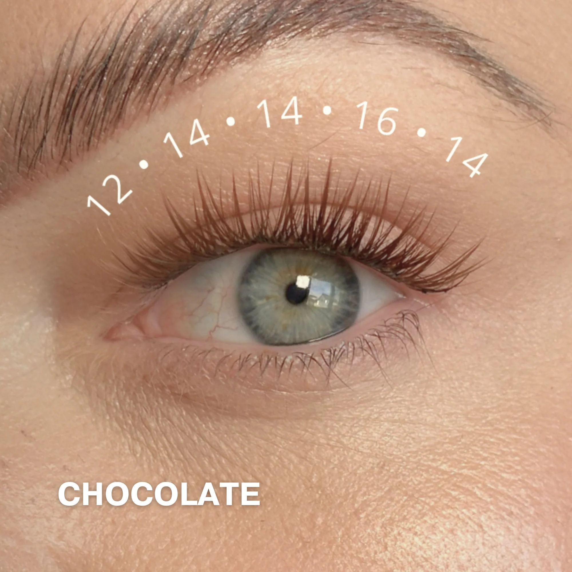 Starter Kit with Cluster Lashes - Image 12