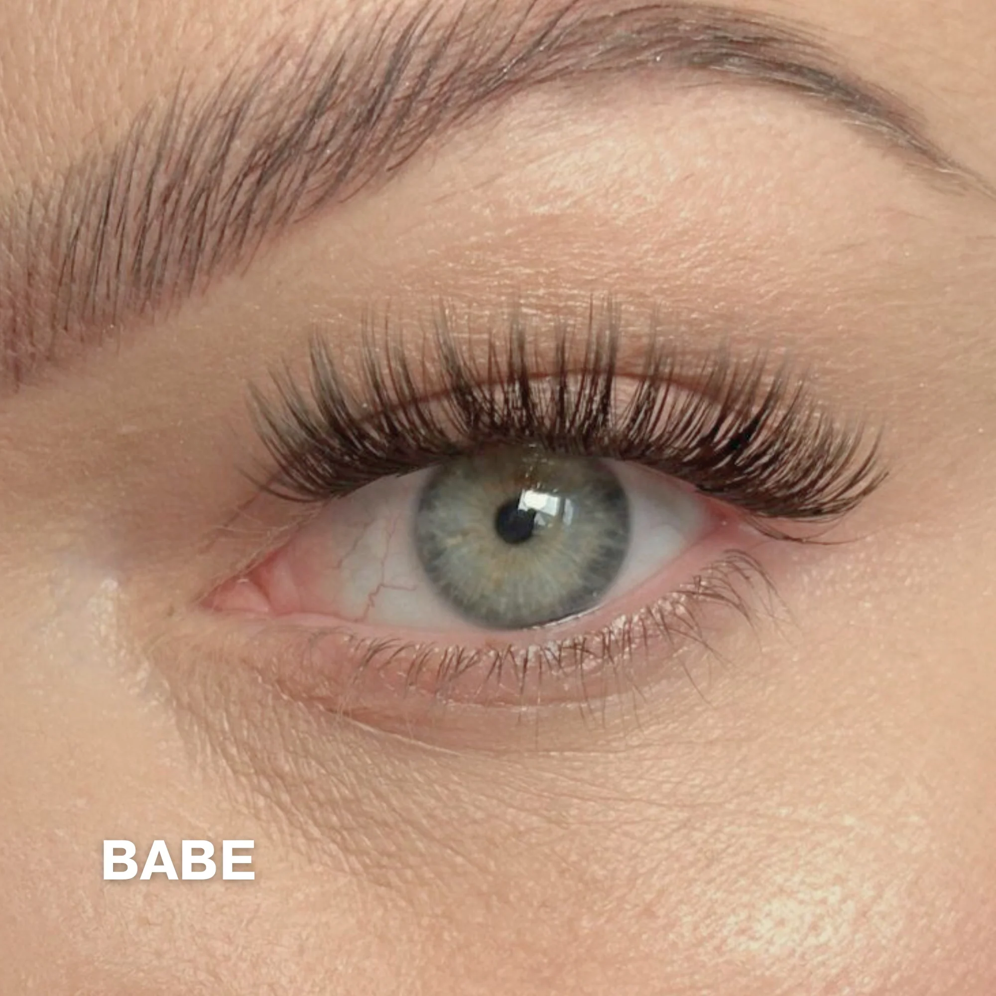 Starter Kit with Cluster Lashes - Image 13