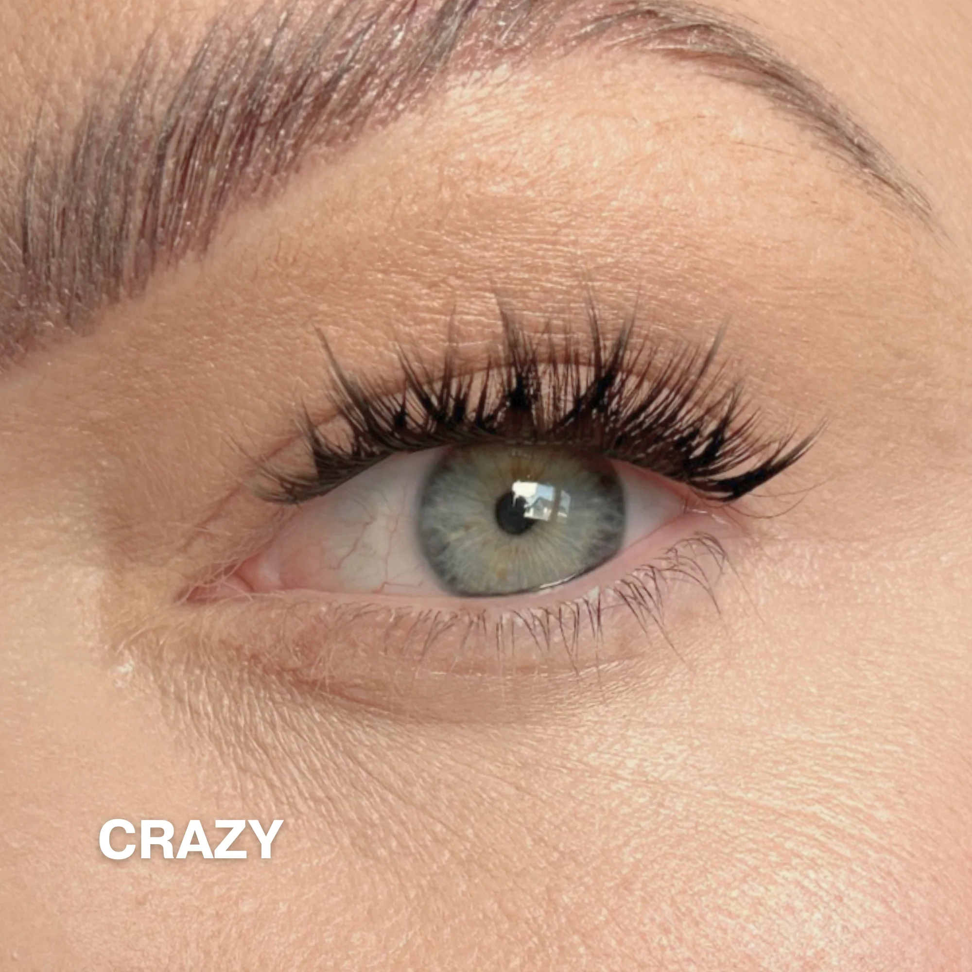 Starter Kit with Cluster Lashes - Image 7