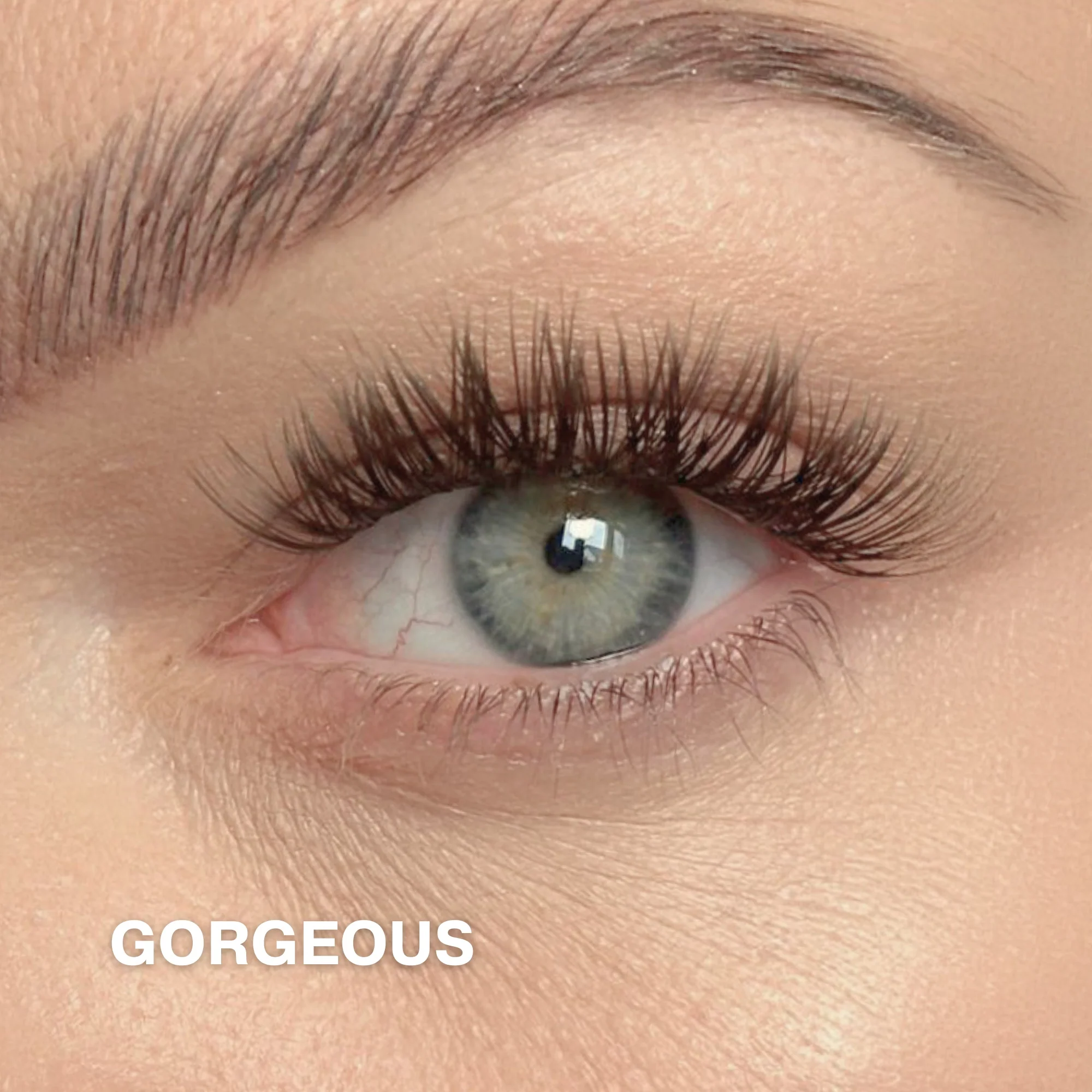 Starter Kit with Cluster Lashes - Image 14