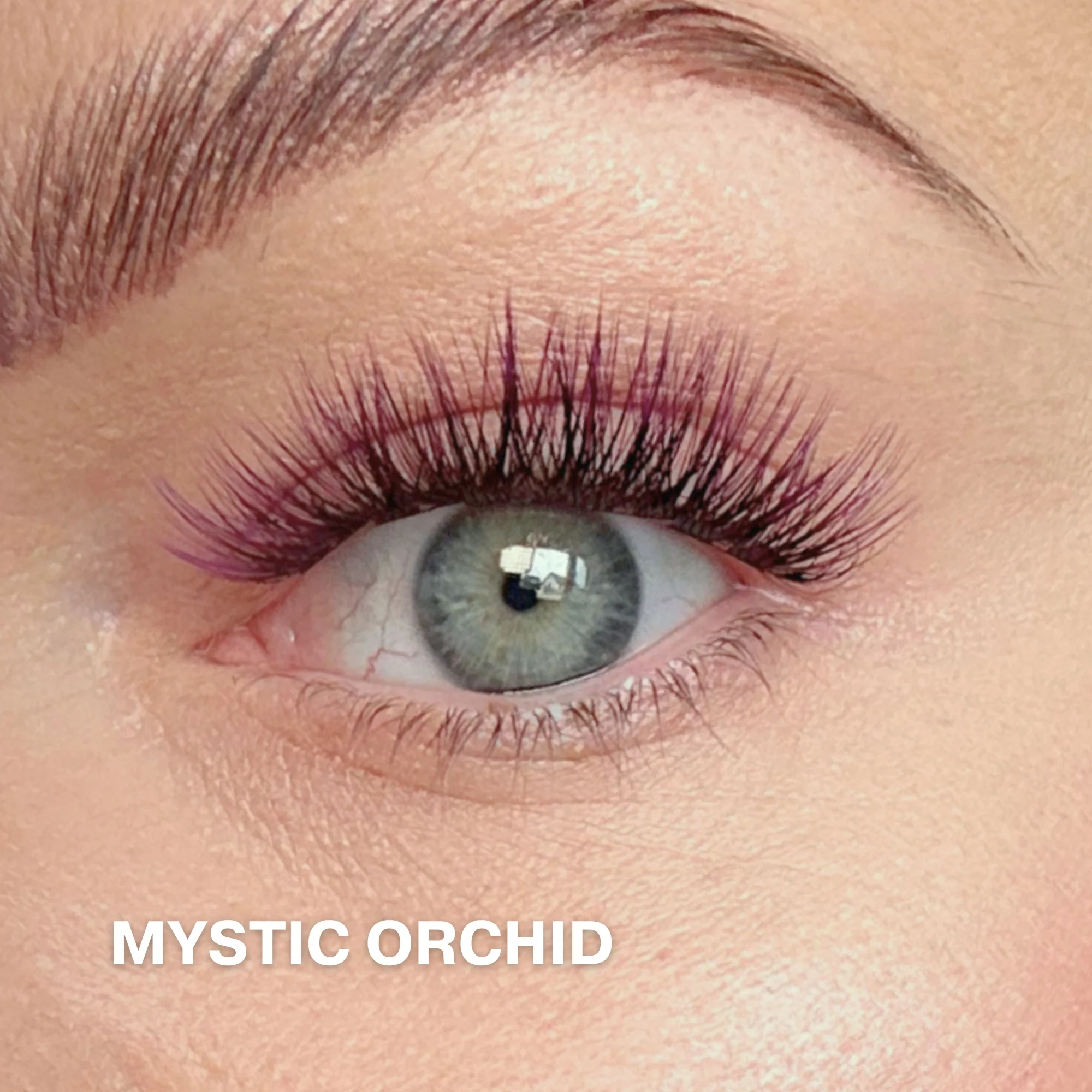 Starter Kit with Cluster Lashes - Image 5