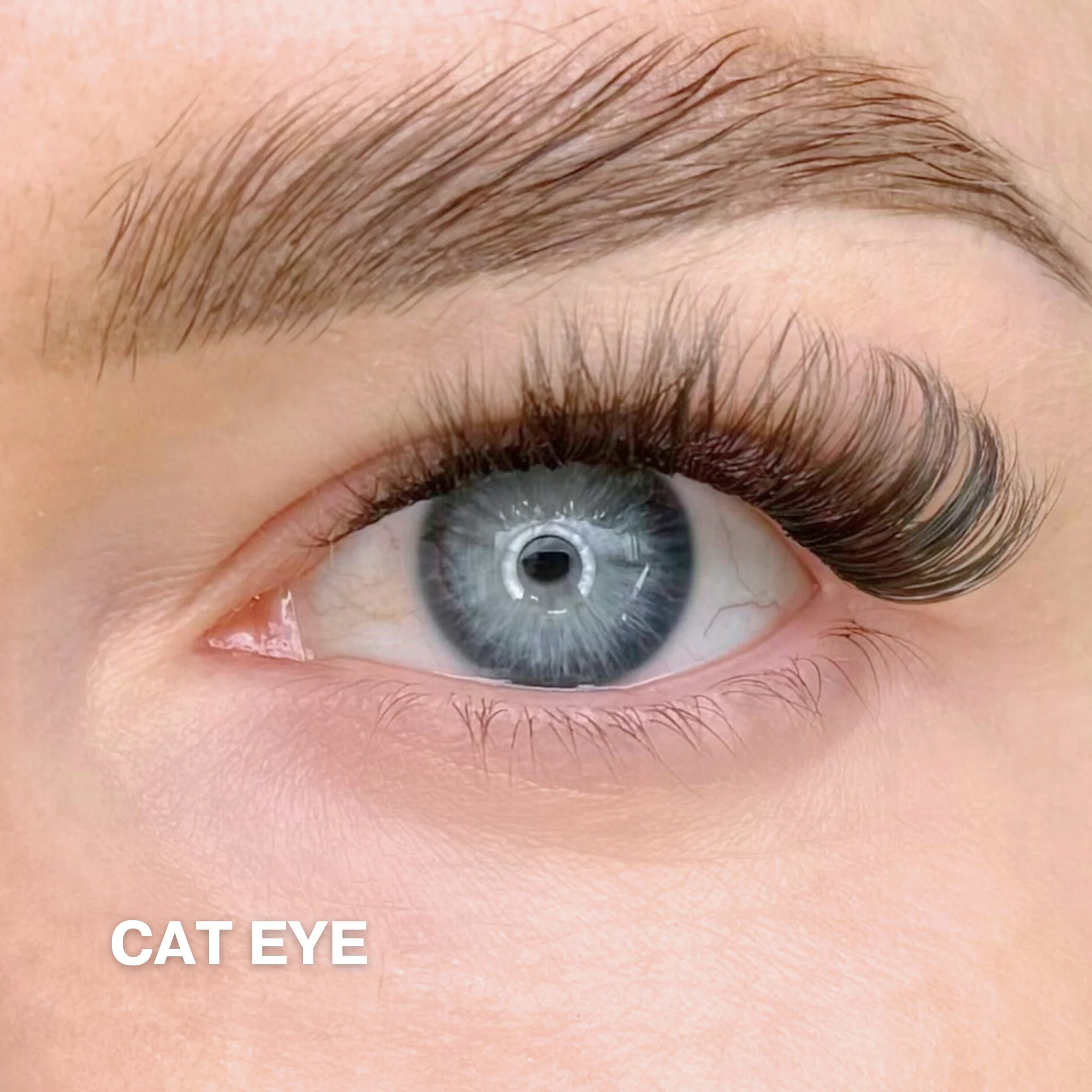 Starter Kit with Single Pack Lashes - Image 11