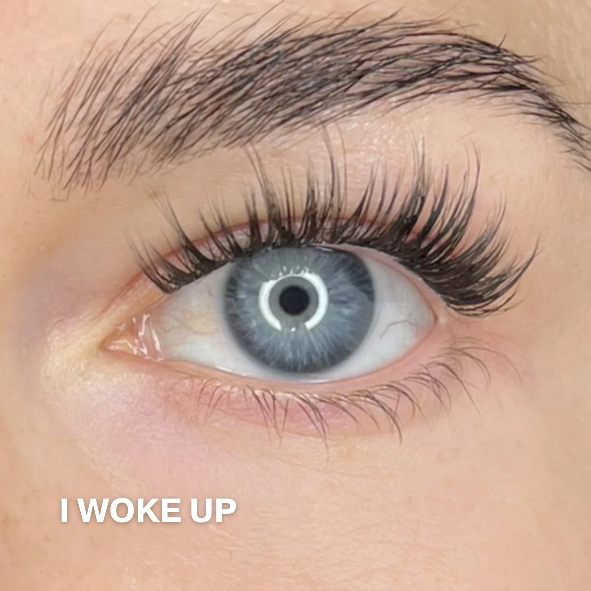 Starter Kit with Single Pack Lashes - Image 3